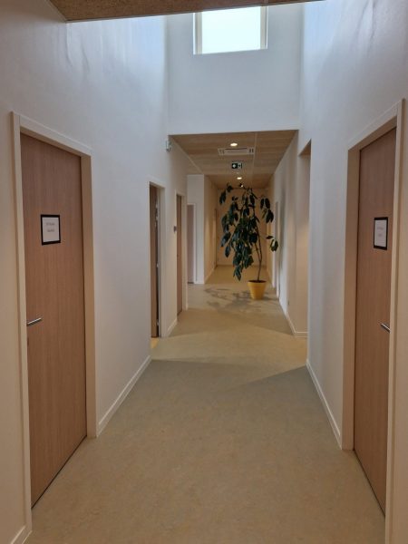 Couloir moderne aux murs blancs avec portes en bois, éclairage zénithal et plante décorative au fond