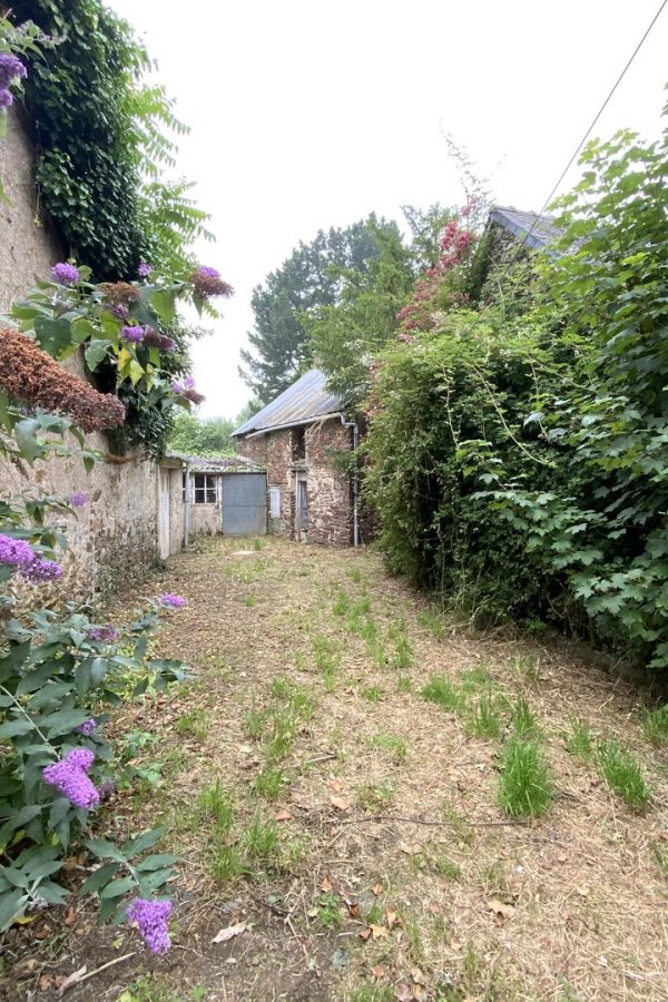 Chemin de terre entre bâtisses en pierre anciennes, végétation dense et fleurs violettes, ambiance rurale abandonnée