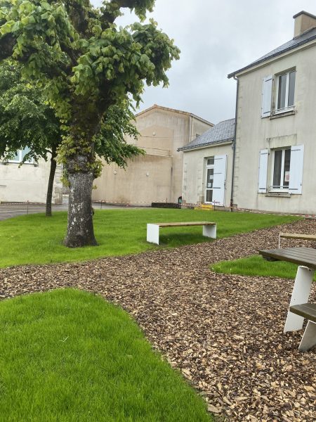 Maison en pierre beige avec volets blancs, jardin avec arbre mature et copeaux de bois, ciel nuageux
