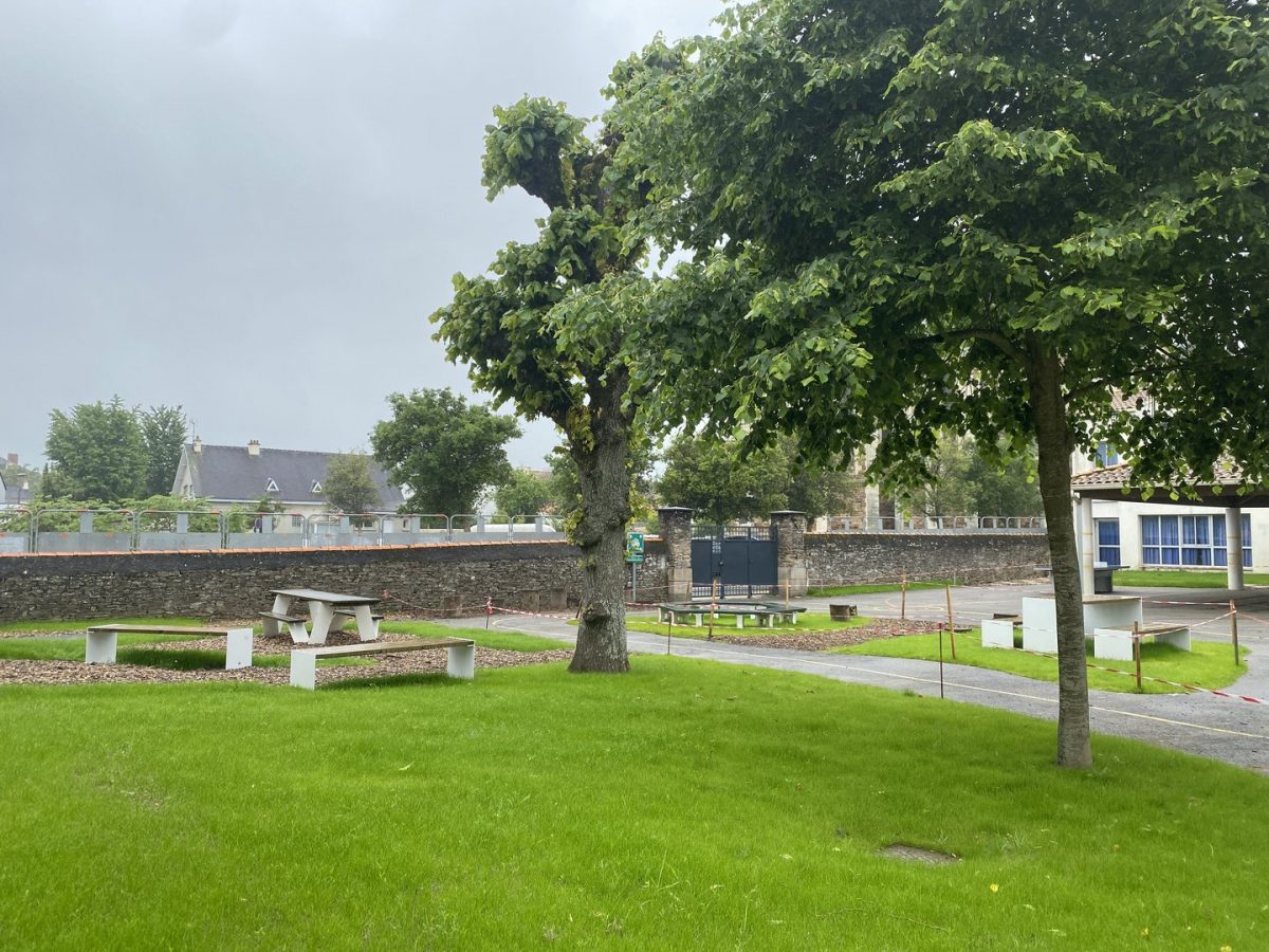 Espace public arboré avec tables de pique-nique, mur en pierre et bâtiment moderne vitré
